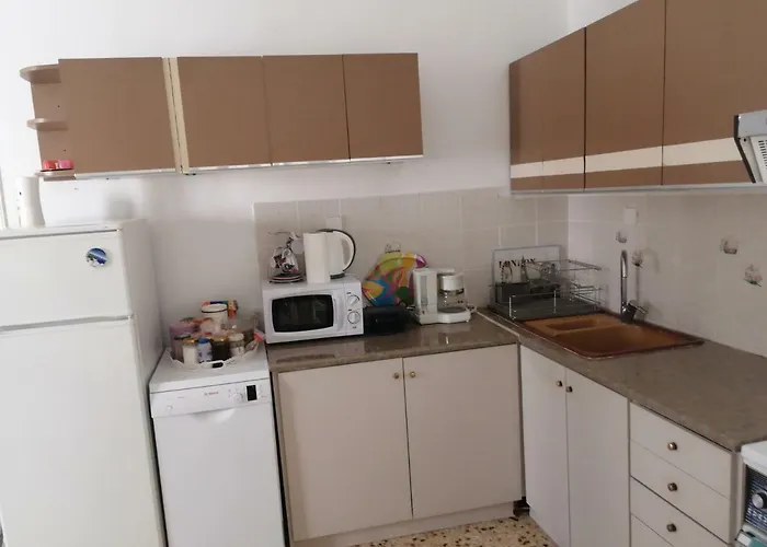 公寓 Matina's Agora With Terrace 利昂尼迪翁